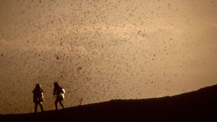 火山挚恋 photo