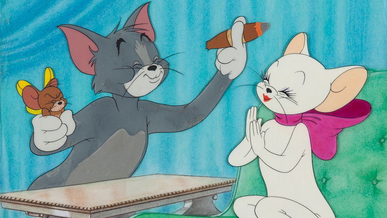 卡萨诺瓦猫 photo