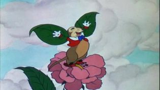 飞行鼠 photo