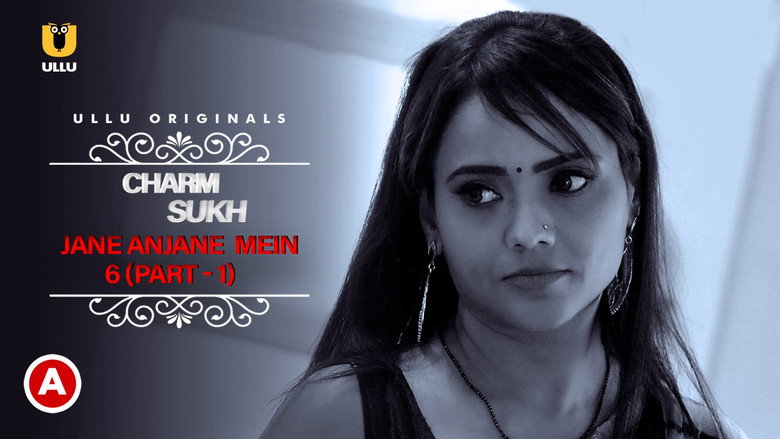 Charmsukh - Jane Anjane Mein photo