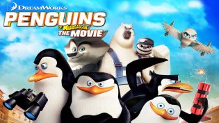 马达加斯加的企鹅 photo