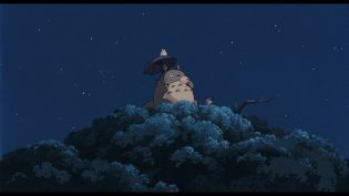龙猫 photo