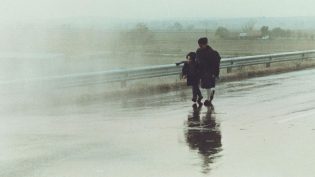 雾中风景 photo