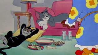 房子里的老鼠 photo