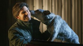 Love in the Forecast photo
