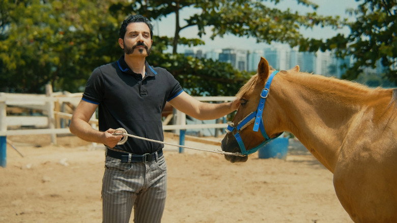 O Cavalo de Pedro photo